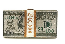 Load image into Gallery viewer, Money Bagg Purse
